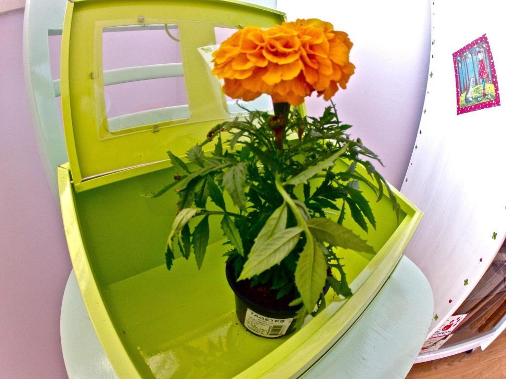 Backpackers Fairytale Hostel Split Bagian luar foto